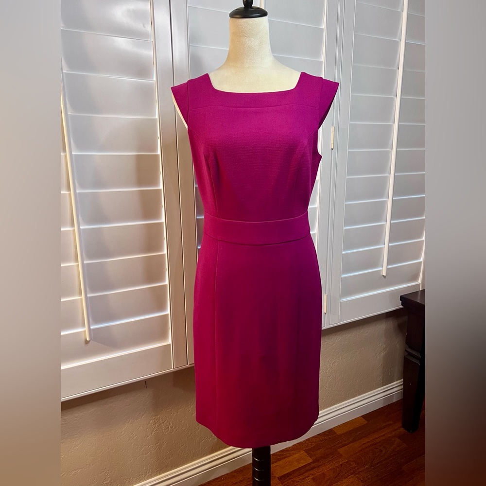 The Limited Dress size 4. Pretty fuchsia dress, simple but sophisticated.